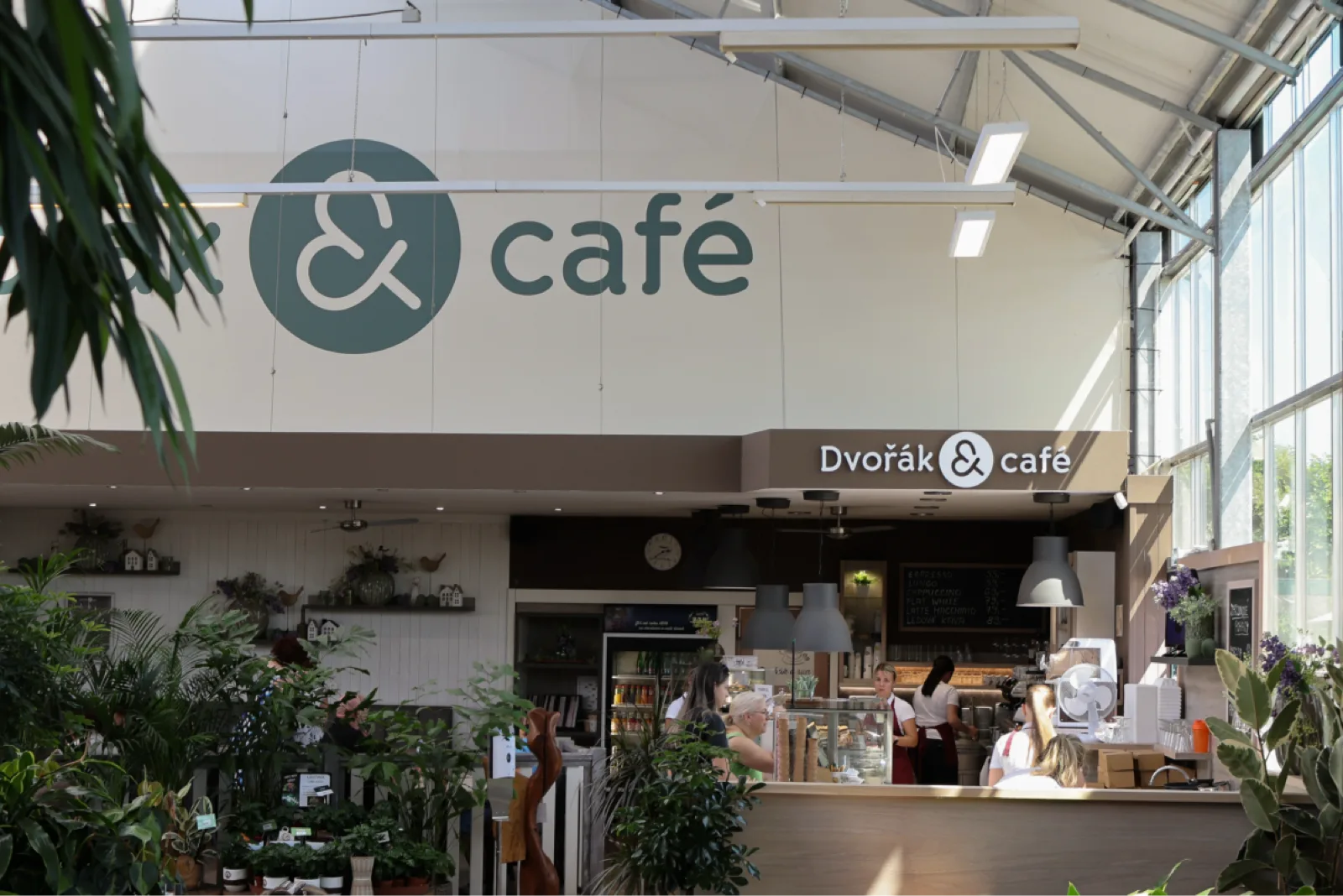 Café Dvořák a syn